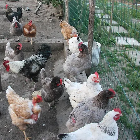 Chez Mamie - 7 Personnes A Livrade Sur Lot Sainte-Livrade-sur-Lot